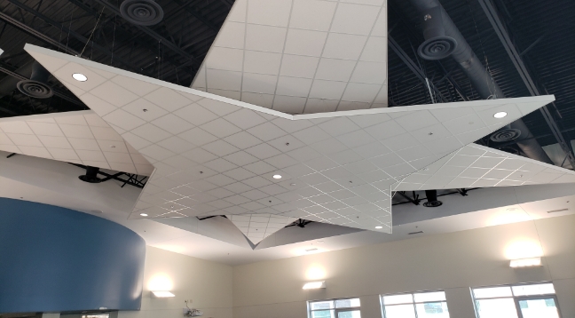 Specialty ceiling
